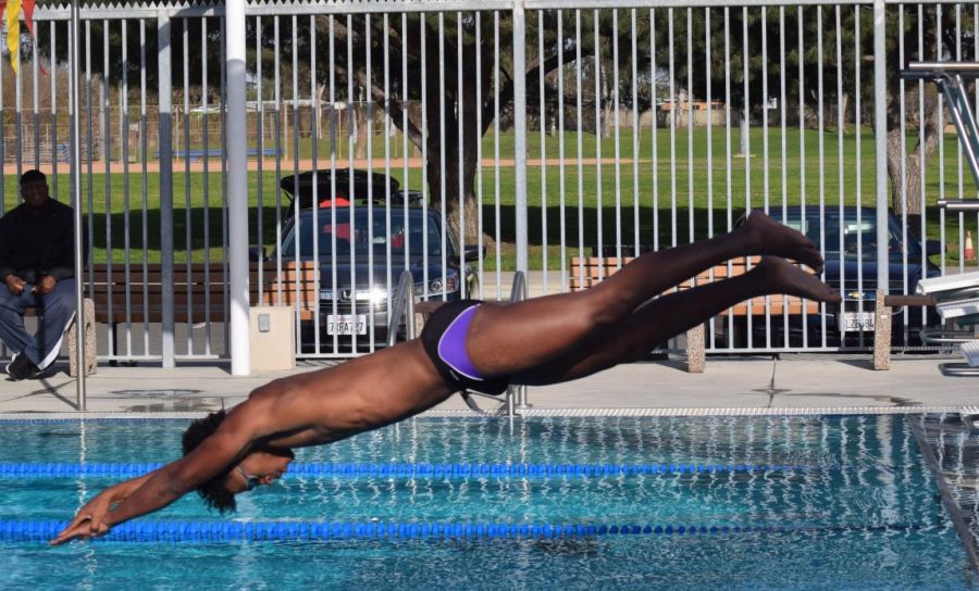 Senior Skye Rogers dives in competition before the season was cut short due to the pandemic.
