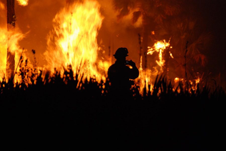 The Dangers and Benefits of the Wildfires