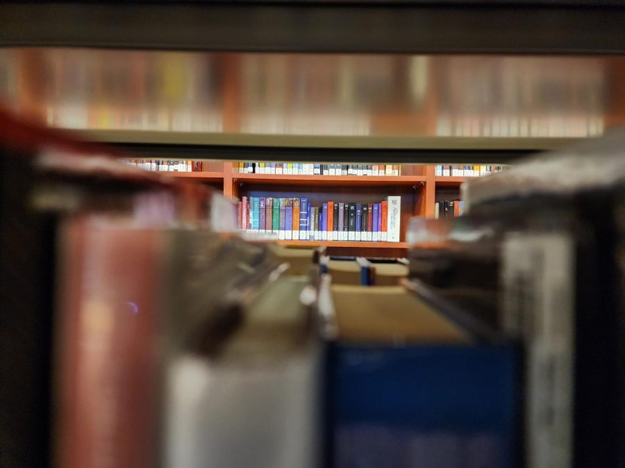 Bringing books into focus.  A view from the stacks in the RDPS library.