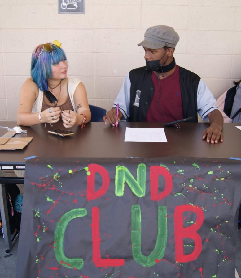 The Dungeons and Dragons club looking to add new members at the club rush.