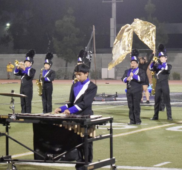 Flags wave to the beat of the Marching Lobos during the homecoming halftime show.